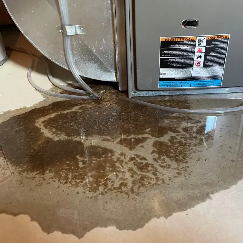 Pipe Burst and Leak Restoration in McCreary County, KY